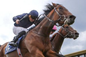 The Thunder and The Silk: Horse Racing’s Enduring Spell